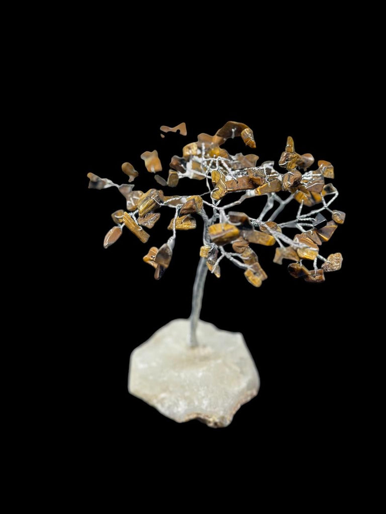 Tiger's Eye Tree
