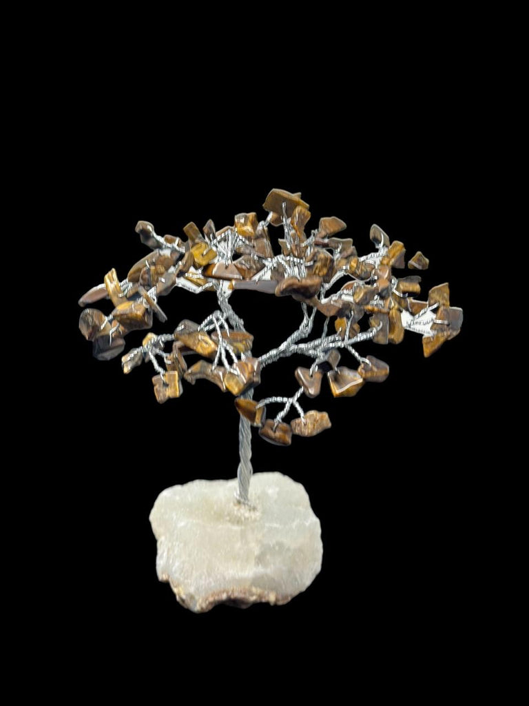 Tiger's Eye Tree