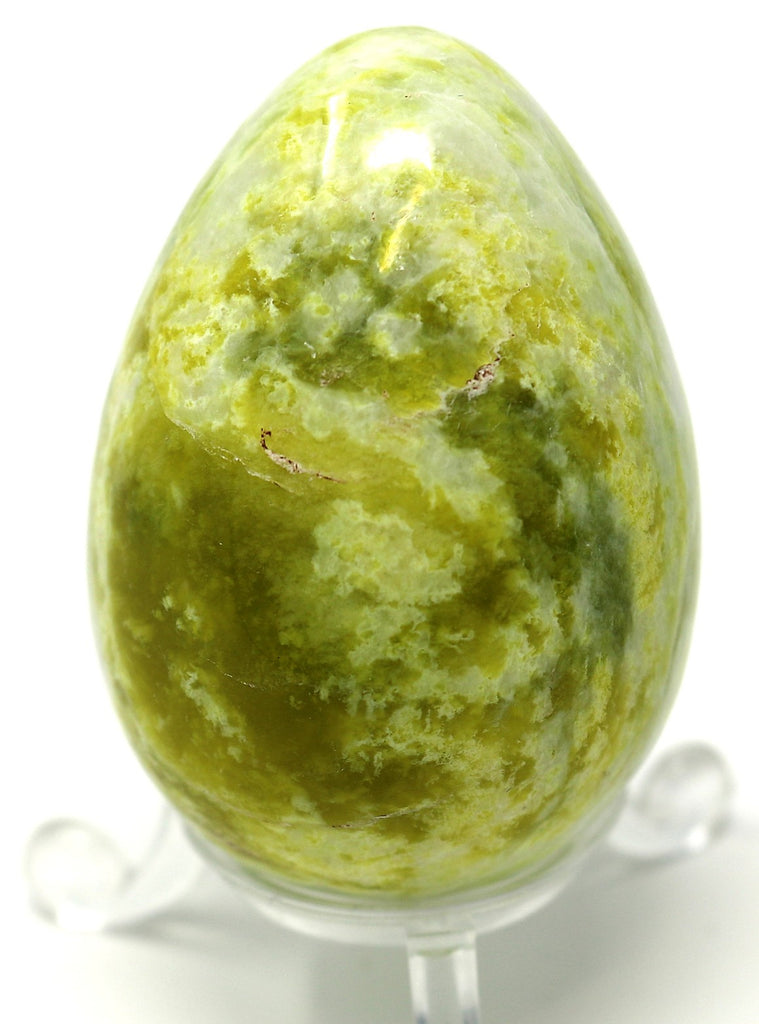 Serpentine Egg - Small AAA Quality