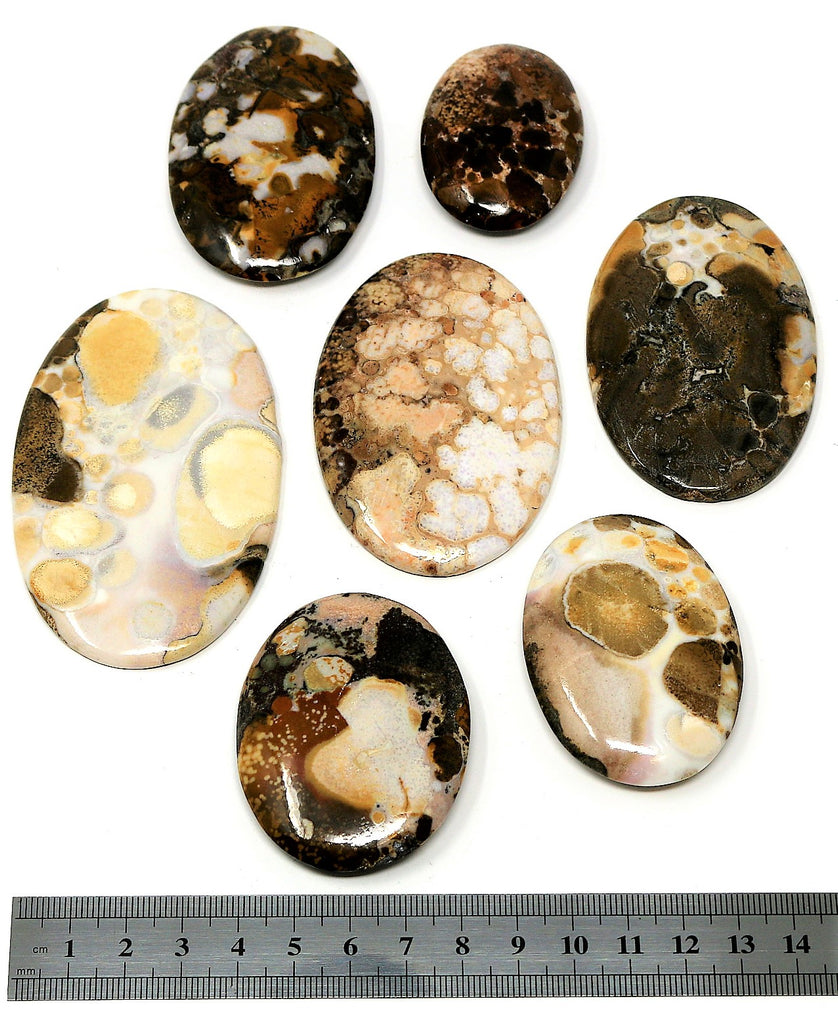 Botswana Palm Stone - AAA Quality