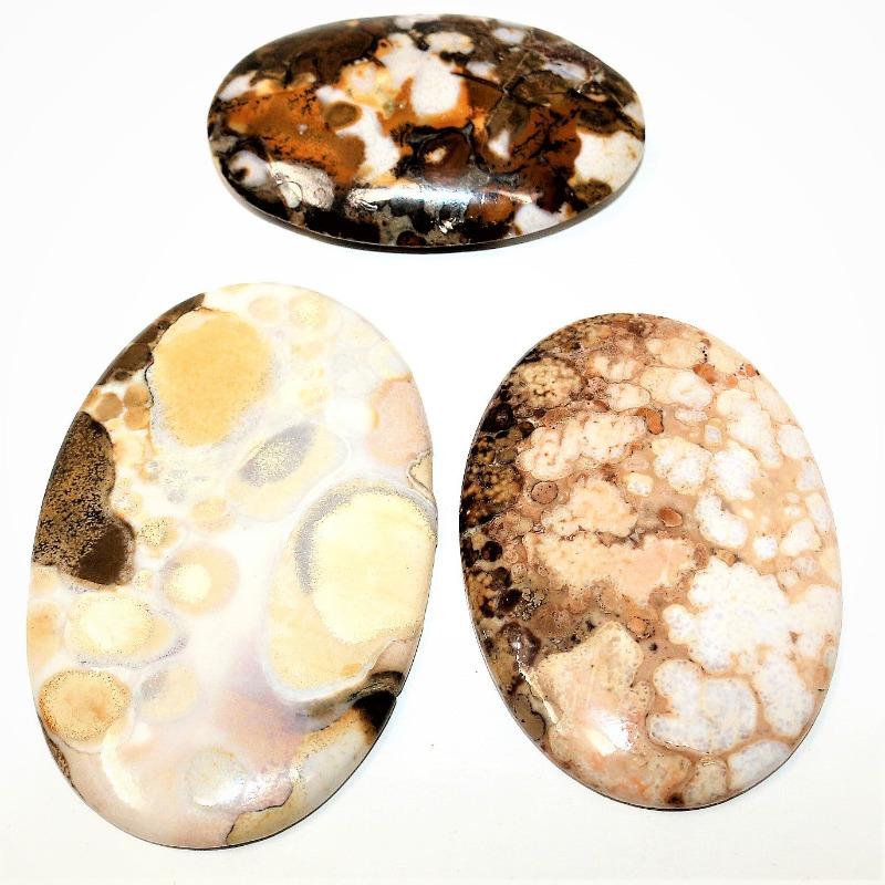 Botswana Palm Stone - AAA Quality
