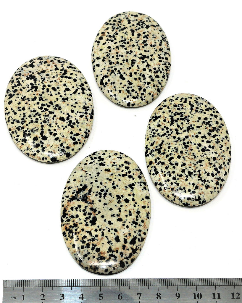 Dalmatian Jasper Palm Stone