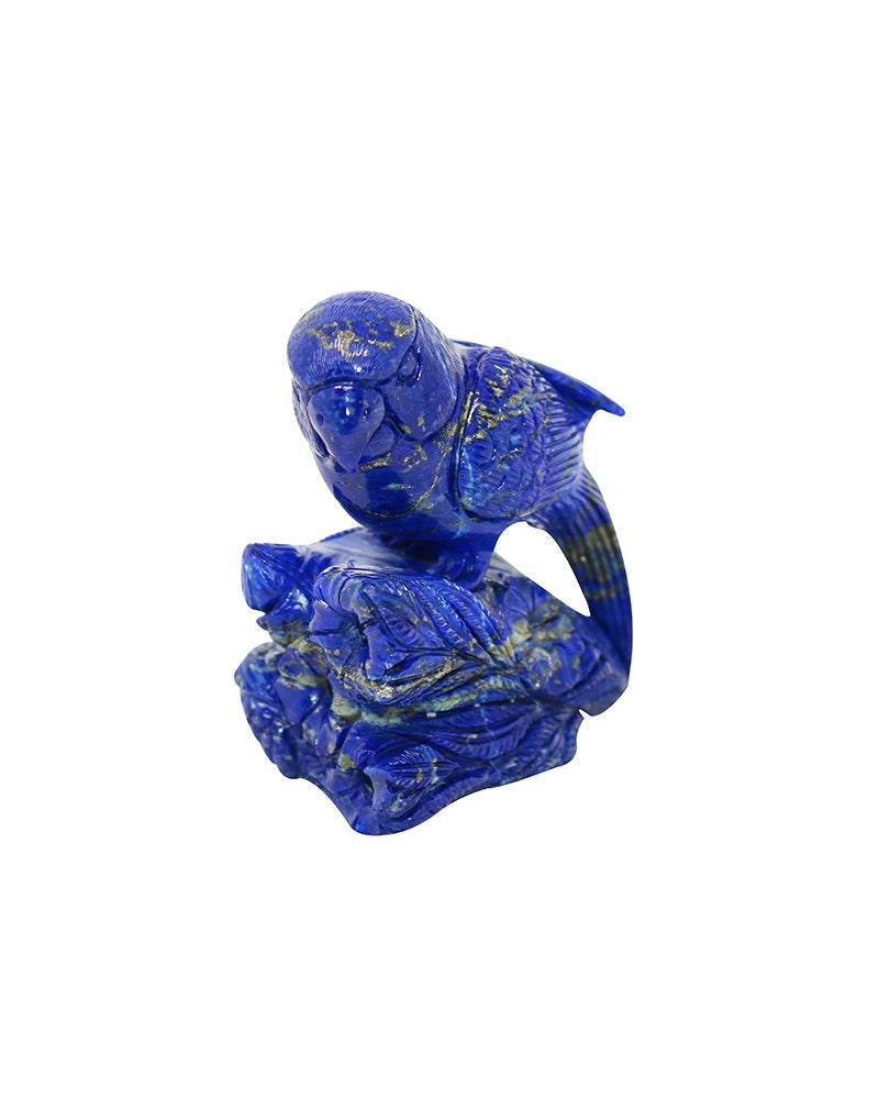 Lapis Lazuli Robin - Madani AAA Quality (520g)