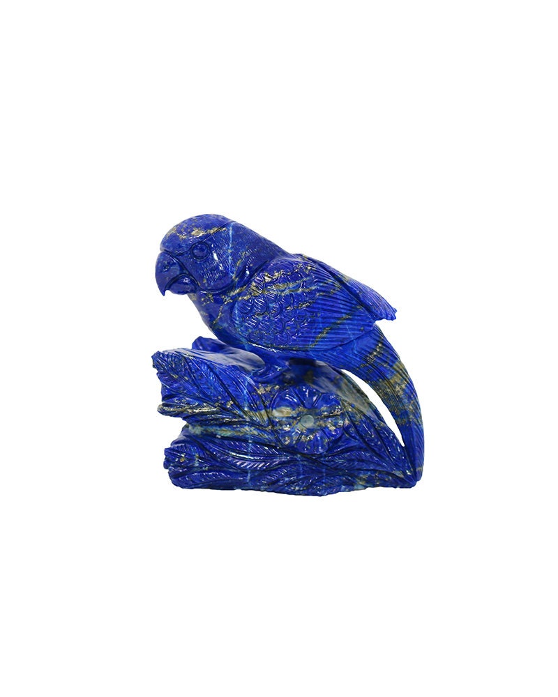 Lapis Lazuli Robin - Madani AAA Quality (520g)