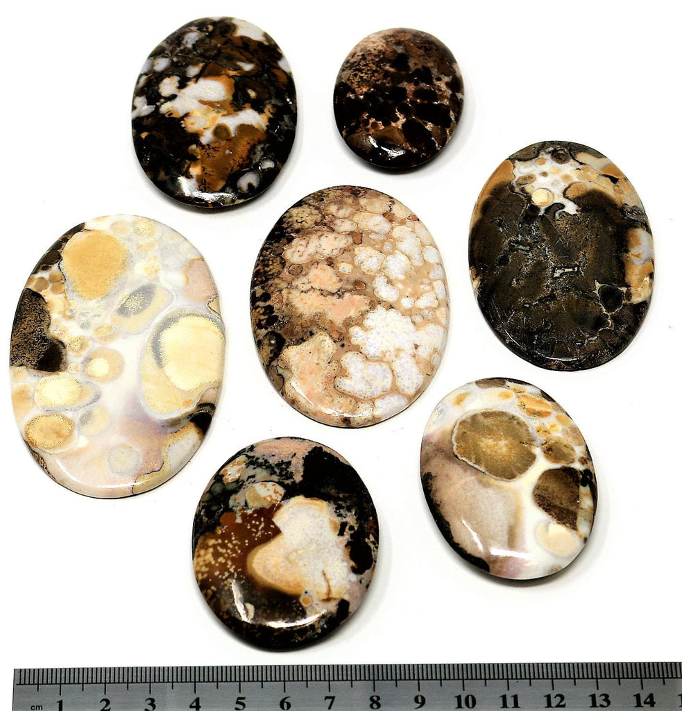 Indian Porcelaian Palm Stone