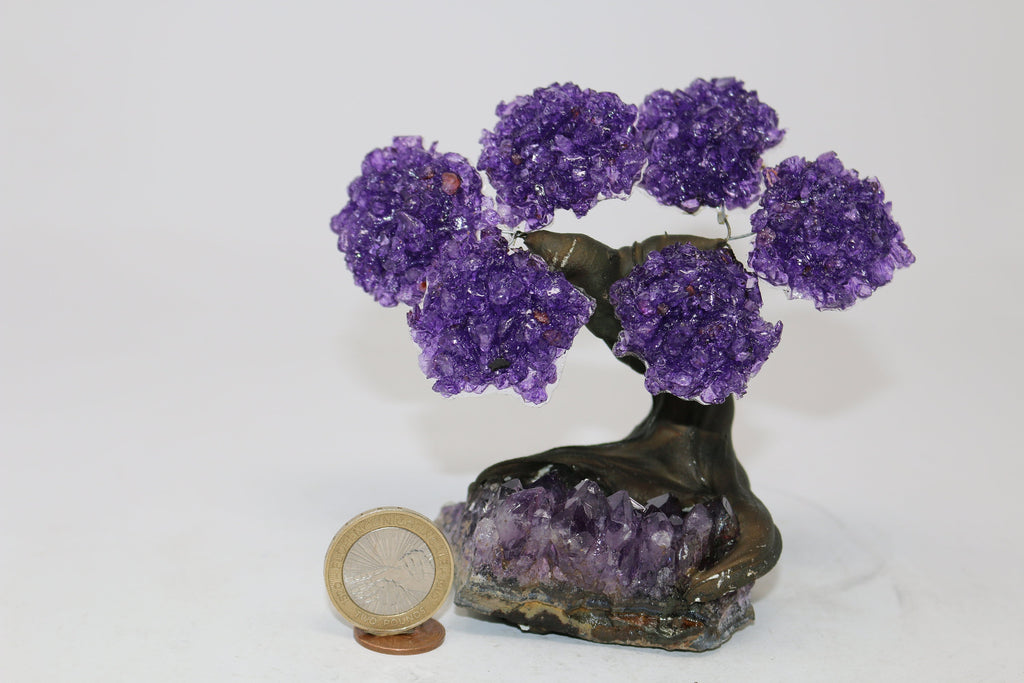 6 Branch Amethyst on Amethyst Geode Tree - Natural Amethyst Chakra Crystal Tree