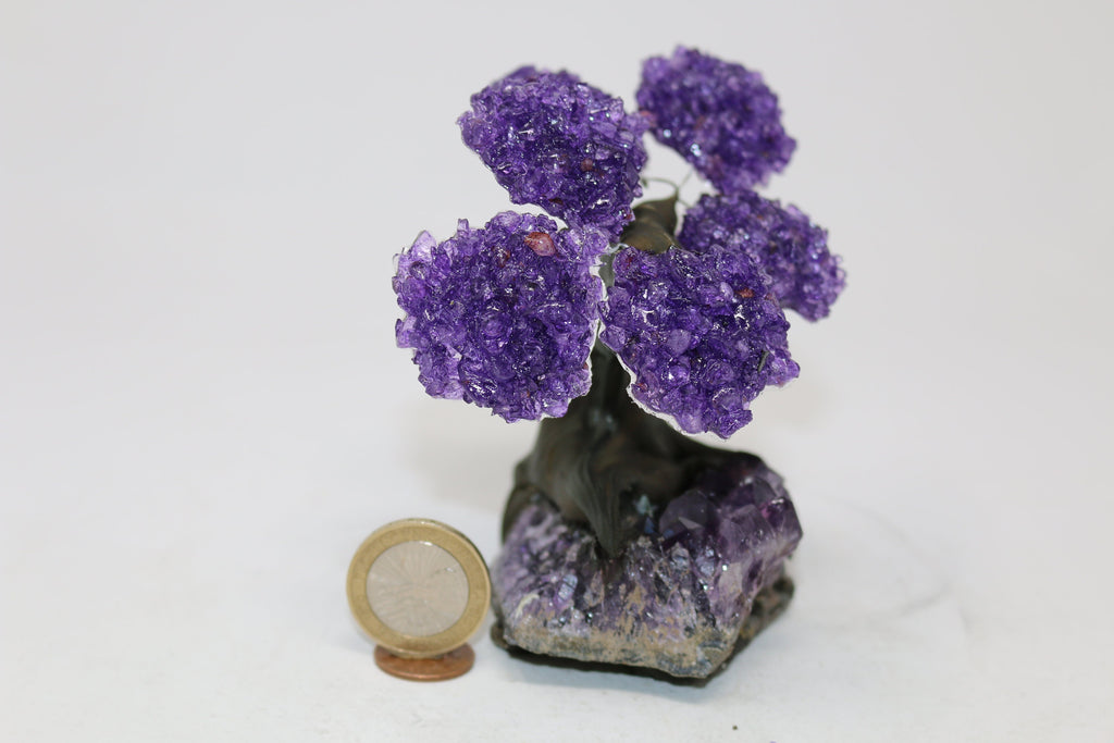 6 Branch Amethyst on Amethyst Geode Tree - Natural Amethyst Chakra Crystal Tree