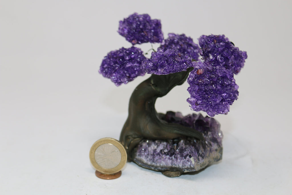 6 Branch Amethyst on Amethyst Geode Tree - Natural Amethyst Chakra Crystal Tree