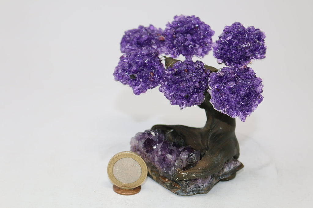 6 Branch Amethyst on Amethyst Geode Tree - Natural Amethyst Chakra Crystal Tree