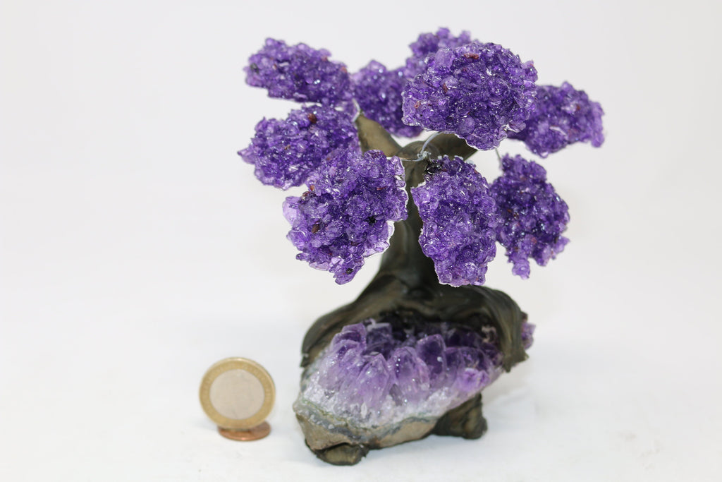 15 Branch Large Amethyst Clustered Gemstone Tree on Amethyst Cluster (Next day Free shipping order before 2pm)