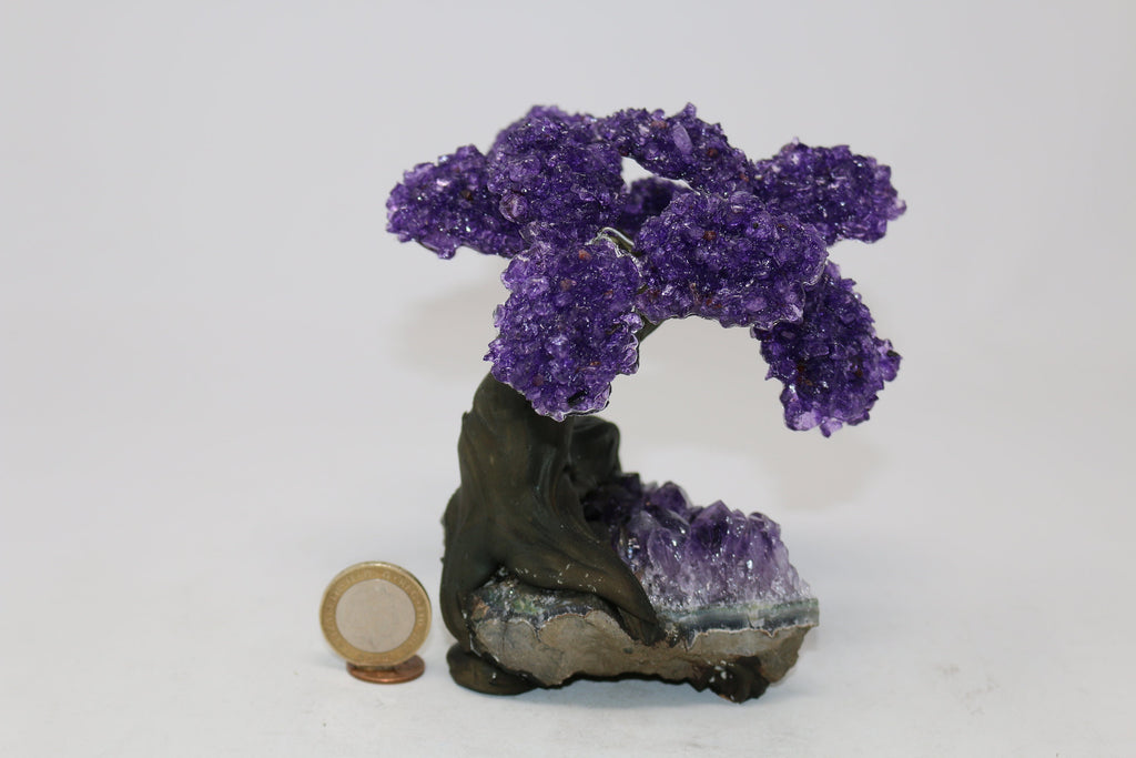 15 Branch Large Amethyst Clustered Gemstone Tree on Amethyst Cluster (Next day Free shipping order before 2pm)