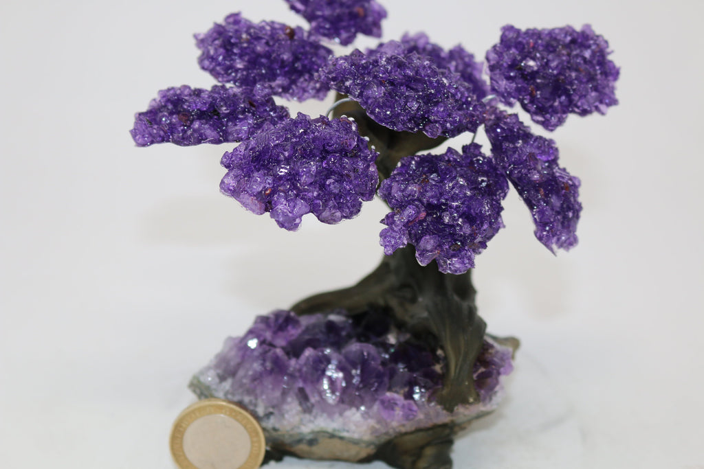 15 Branch Large Amethyst Clustered Gemstone Tree on Amethyst Cluster (Next day Free shipping order before 2pm)