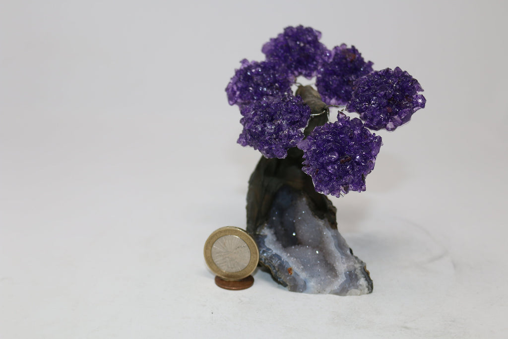 6 Branch Small Amethyst Clustered Gemstone Tree on Clear Quartz Matrix (The Relaxation Tree)
