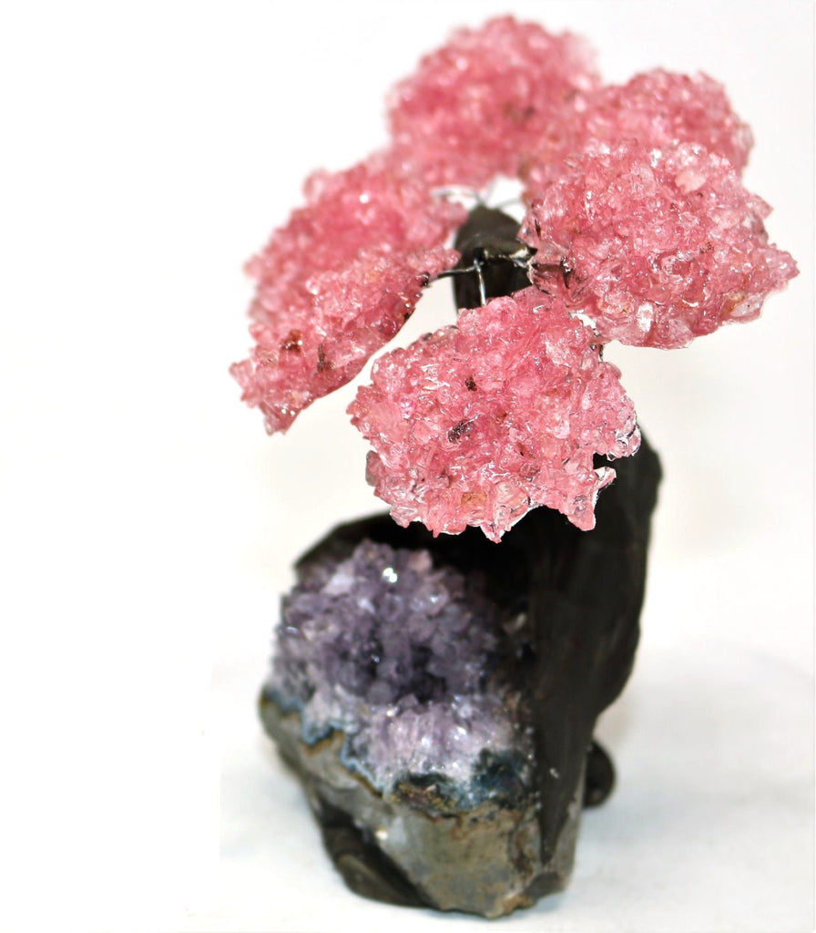 48HR PRIME DELIVERY!!! Small Rose Quartz Tree on Amethyst Cluster Base (Bonsai Tree)