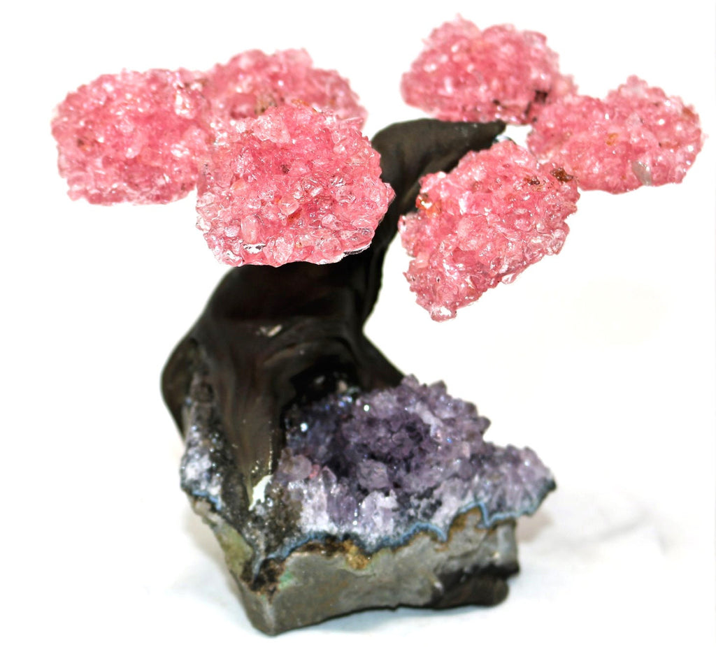 48HR PRIME DELIVERY!!! Small Rose Quartz Tree on Amethyst Cluster Base (Bonsai Tree)