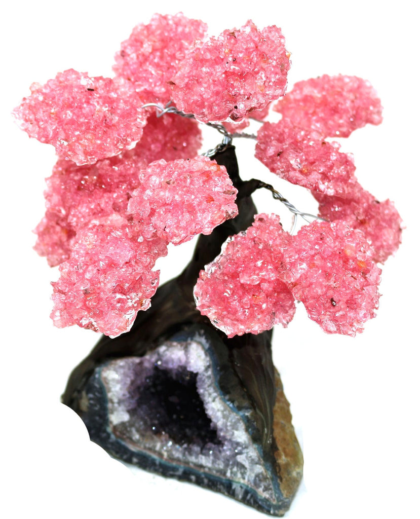 Large Rose Quartz Tree on Amethyst Base (Bonsai Tree)