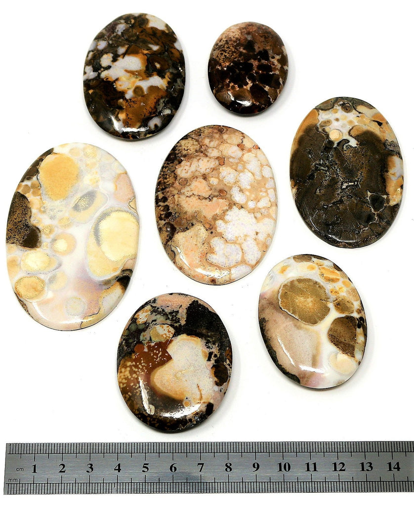 Indian Porcelaian Palm Stone
