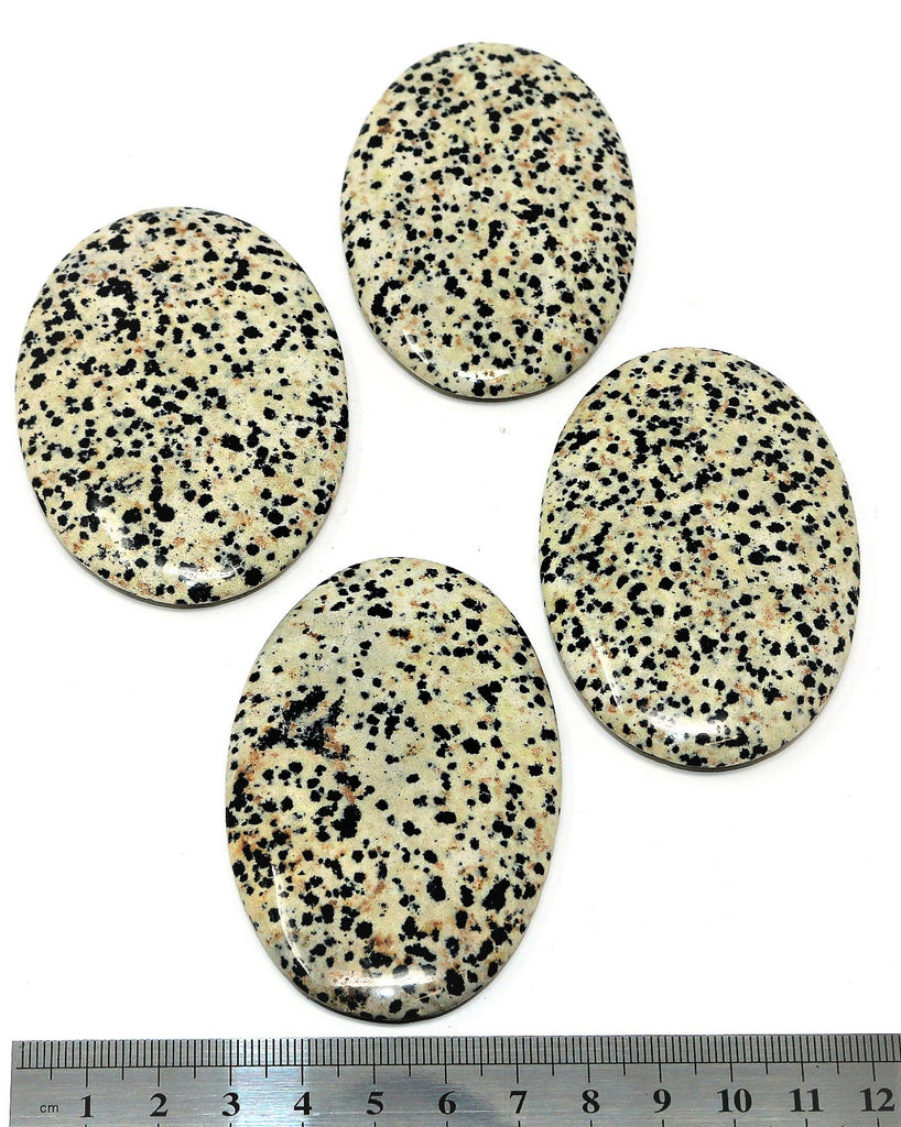 Dalmatian Palm Stone