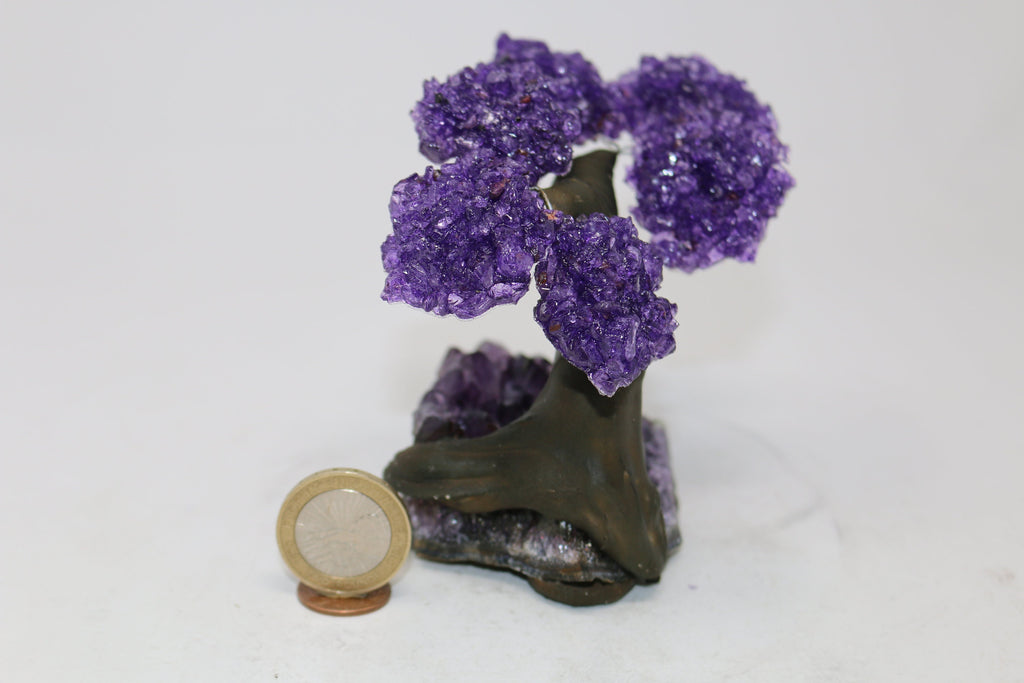 6 Branch Amethyst on Amethyst Geode Tree - Natural Amethyst Chakra Crystal Tree