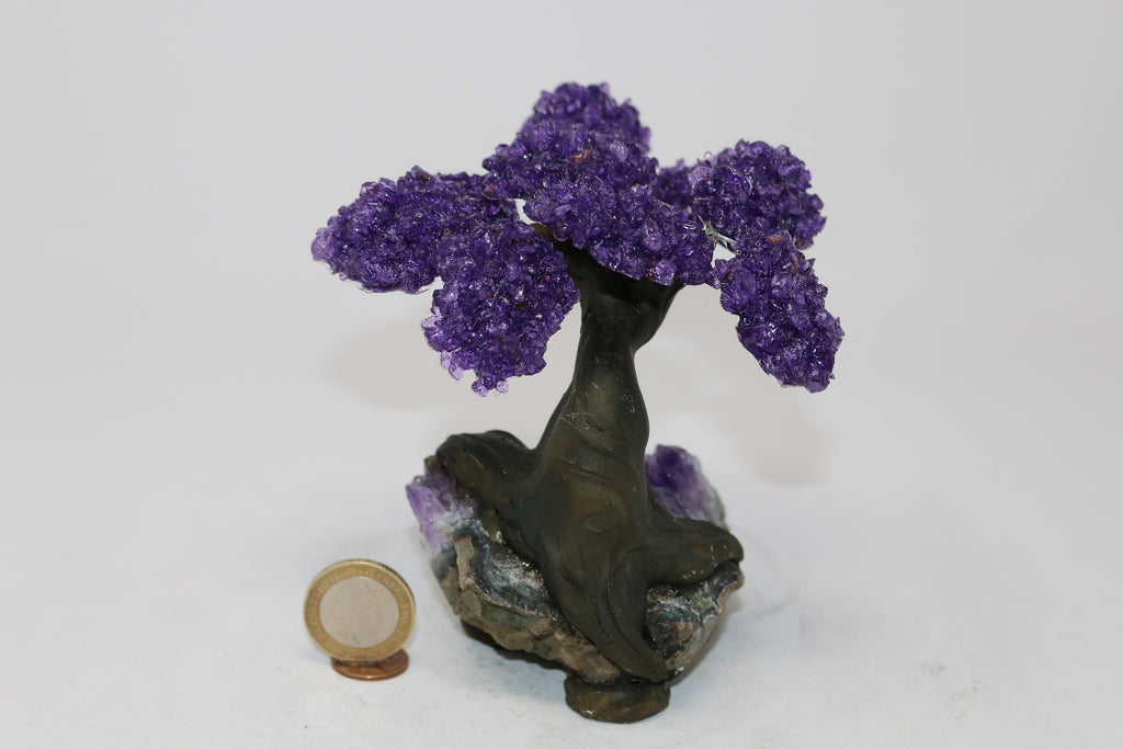 15 Branch Large Amethyst Clustered Gemstone Tree on Amethyst Cluster (Next day Free shipping order before 2pm)