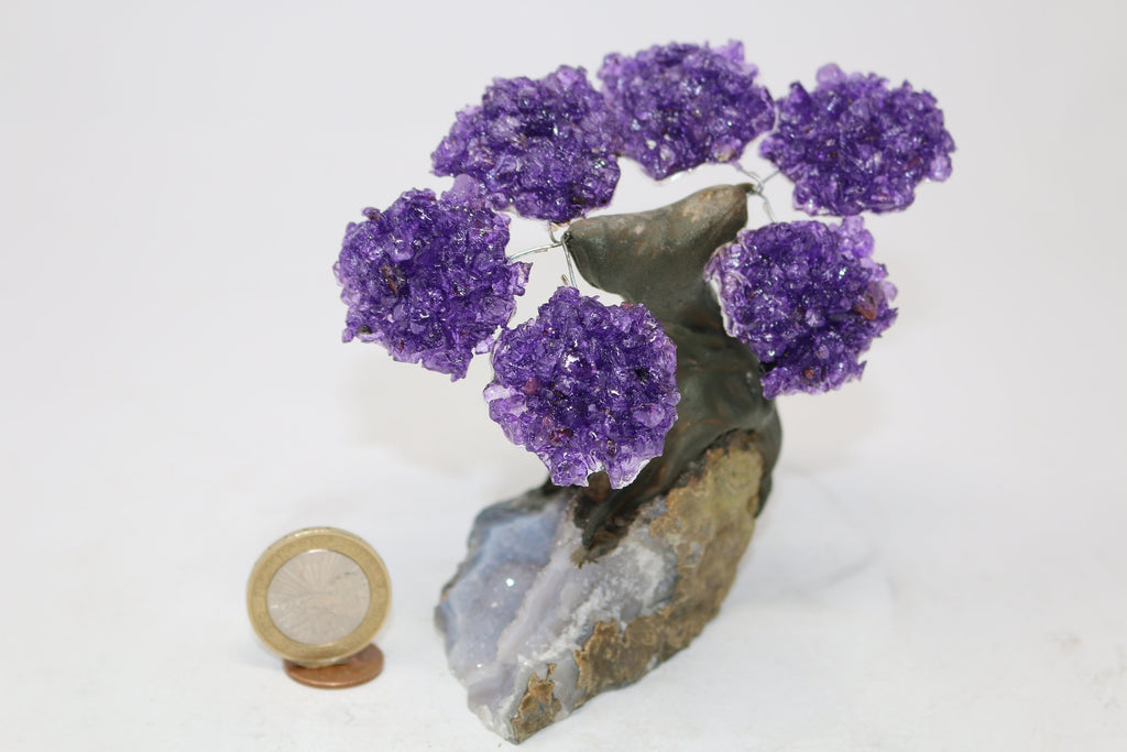 6 Branch Small Amethyst Clustered Gemstone Tree on Clear Quartz Matrix (The Relaxation Tree)