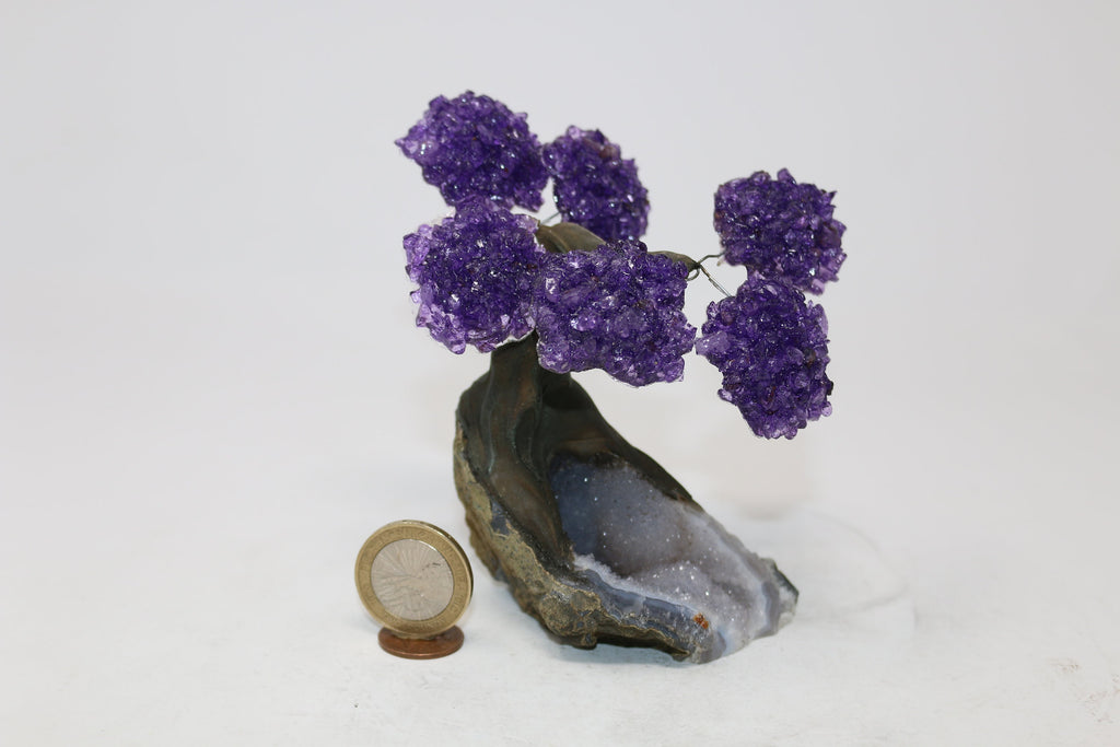 6 Branch Small Amethyst Clustered Gemstone Tree on Clear Quartz Matrix (The Relaxation Tree)