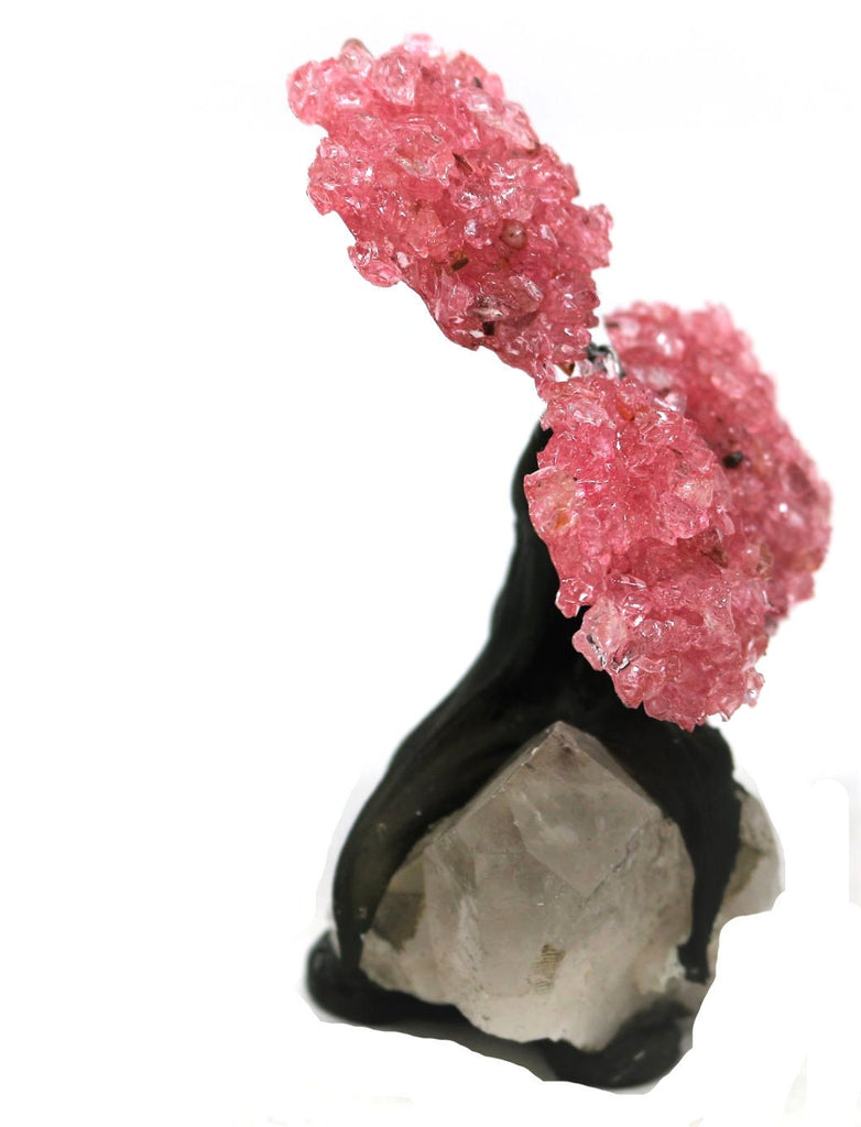 X Small Rose Quartz Tree on Clear Quartz Base