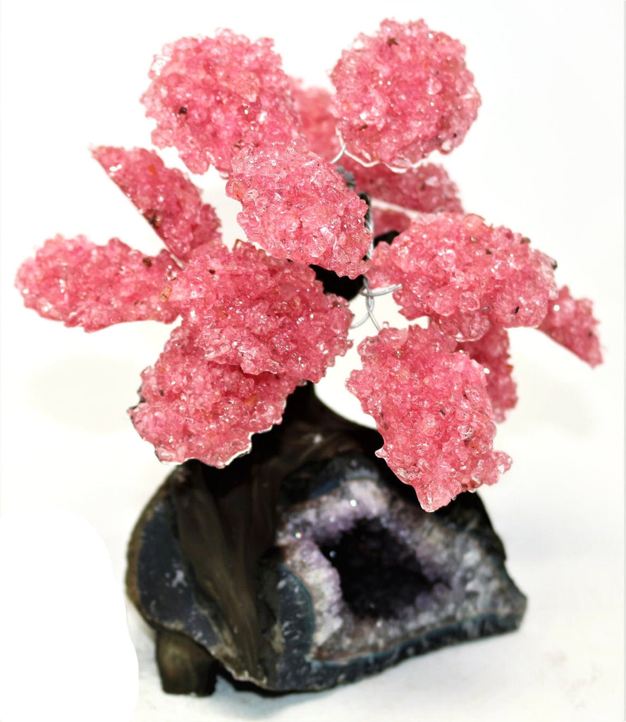 Large Rose Quartz Tree on Amethyst Base (Bonsai Tree)