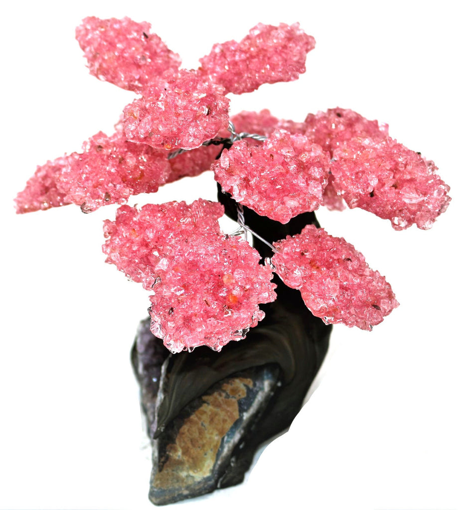 Large Rose Quartz Tree on Amethyst Base (Bonsai Tree)