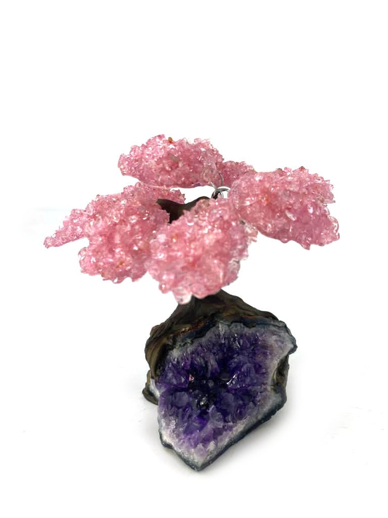 9 Branch Medium Rose Clustered Gemstone Tree on Amethyst Matrix  (The Relaxation Tree)  24HRS UK FREE Shipping