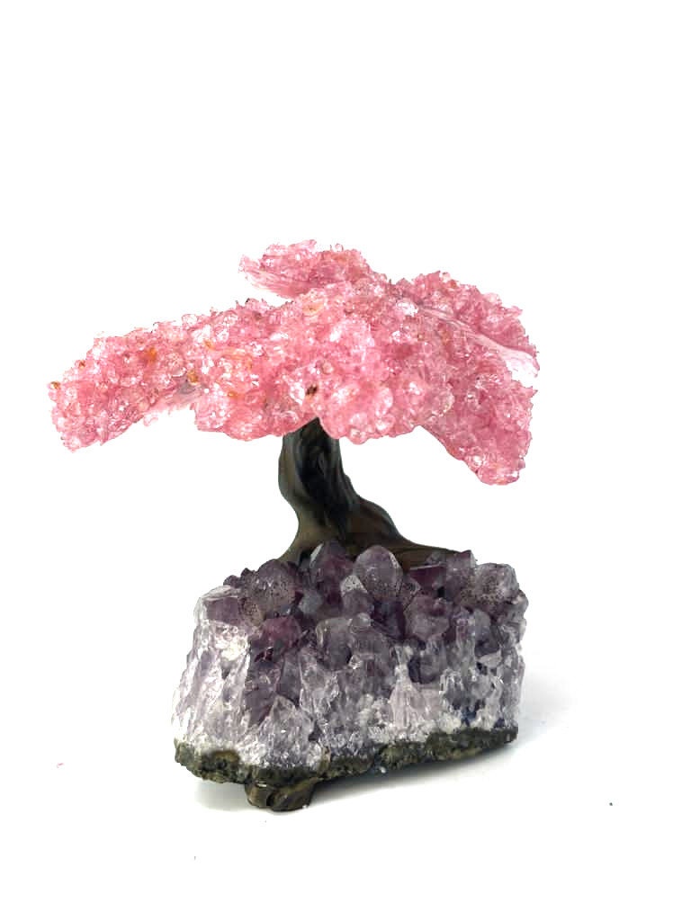 9 Branch Rose Quartz on Amethyst Geode Tree - Rose Quartz Geode Tree On Amethyst Geode (Free 24Hrs UK Delivery)