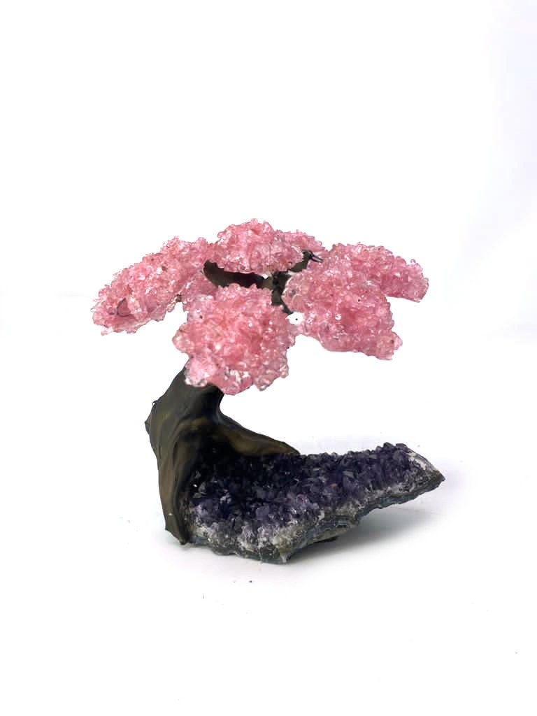 9 Branch Medium Rose Quartz Clustered Gemstone Tree on Amethyst  Cluster  (The Relaxation Tree)