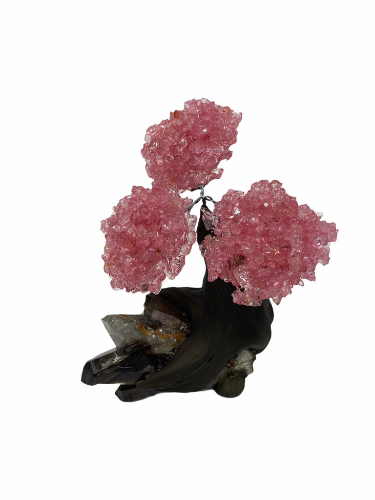 48hrs Tracked Delivery *Free*XSmall Rose Quartz Clustered Gemstone Tree on Smoky Quartz Matrix (The Relaxation Tree)