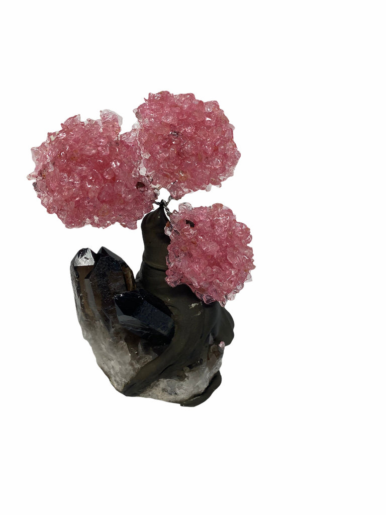 48hrs Tracked Delivery *Free*XSmall Rose Quartz Clustered Gemstone Tree on Smoky Quartz Matrix (The Relaxation Tree)