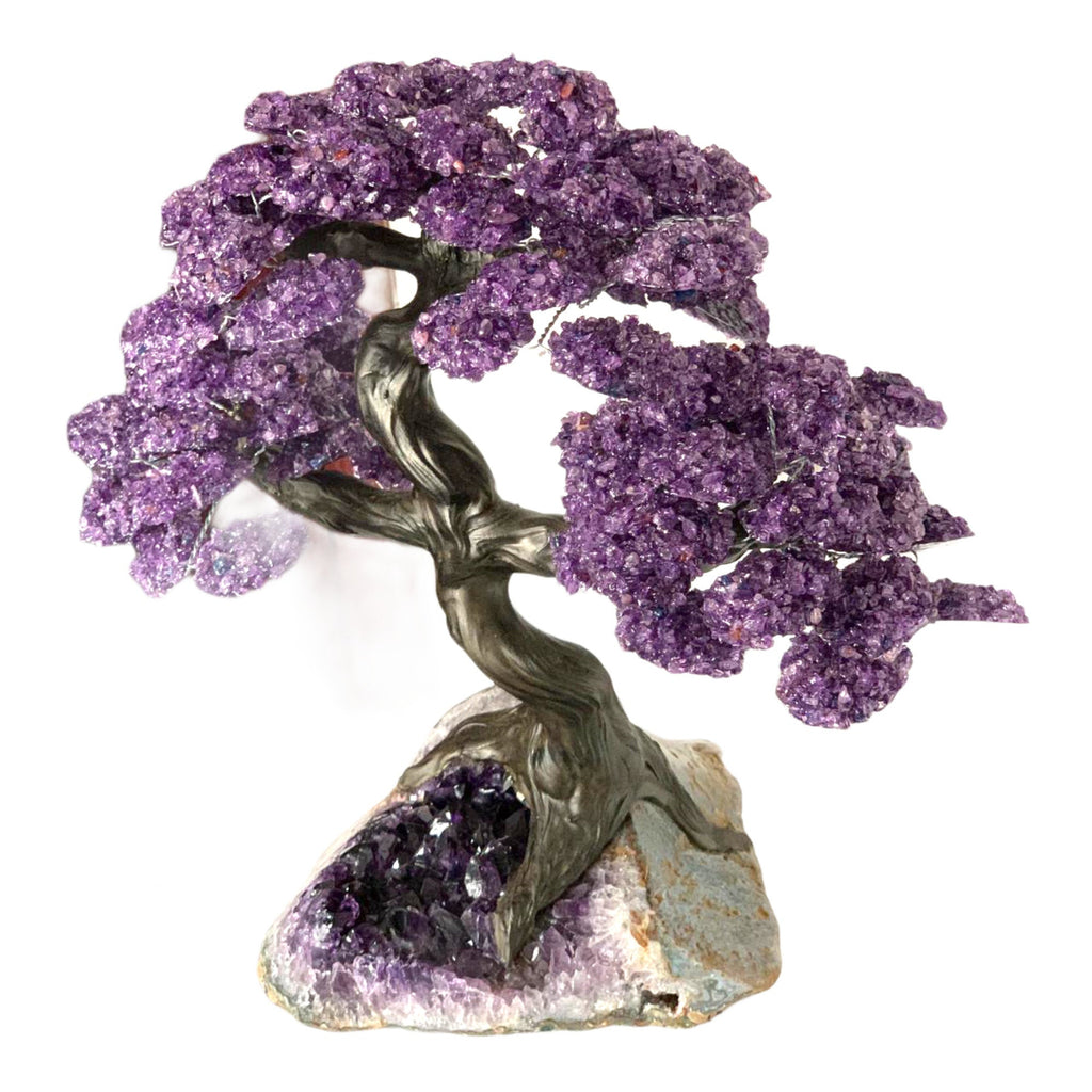 XX Large Amethyst Clustered Gemstone Tree on Amethyst Geode Matrix (The Relaxation Tree) 39cm
