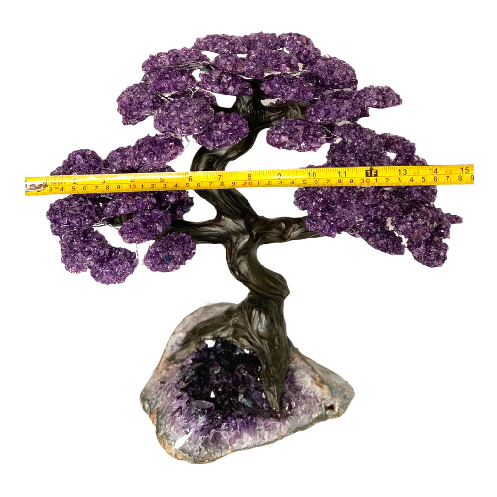 XX Large Amethyst Clustered Gemstone Tree on Amethyst Geode Matrix (The Relaxation Tree) 39cm