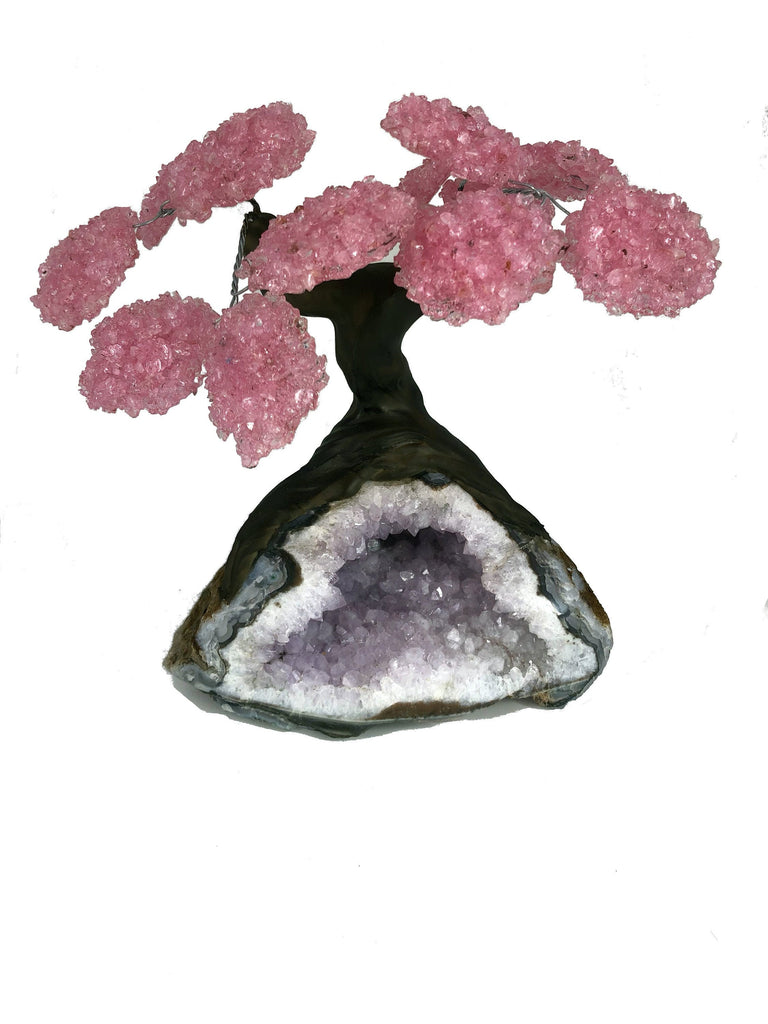 XLarge 12 Branch Rose Quartz Gemstone Tree on Amethyst Geode (The Relaxation Tree)