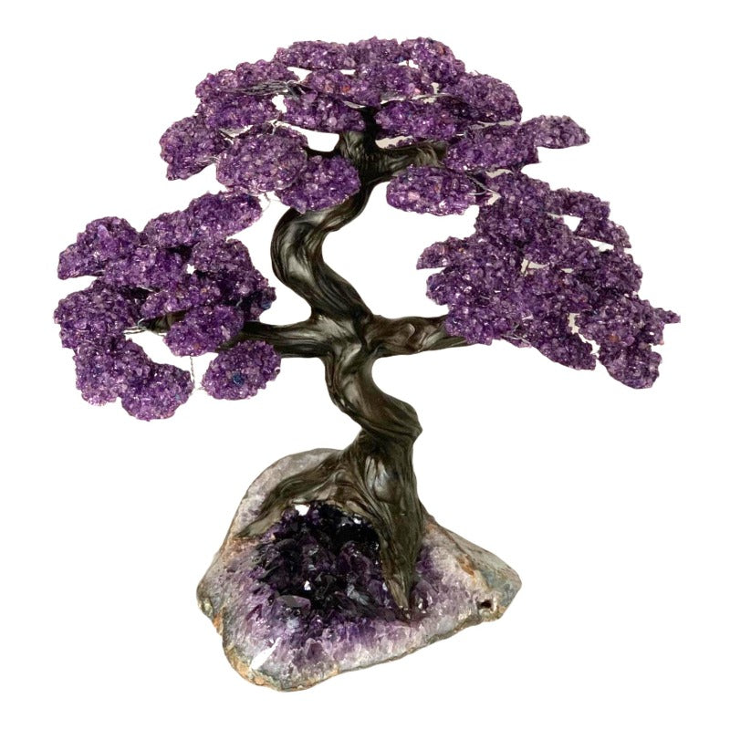 XX Large Amethyst Clustered Gemstone Tree on Amethyst Geode Matrix (The Relaxation Tree) 39cm