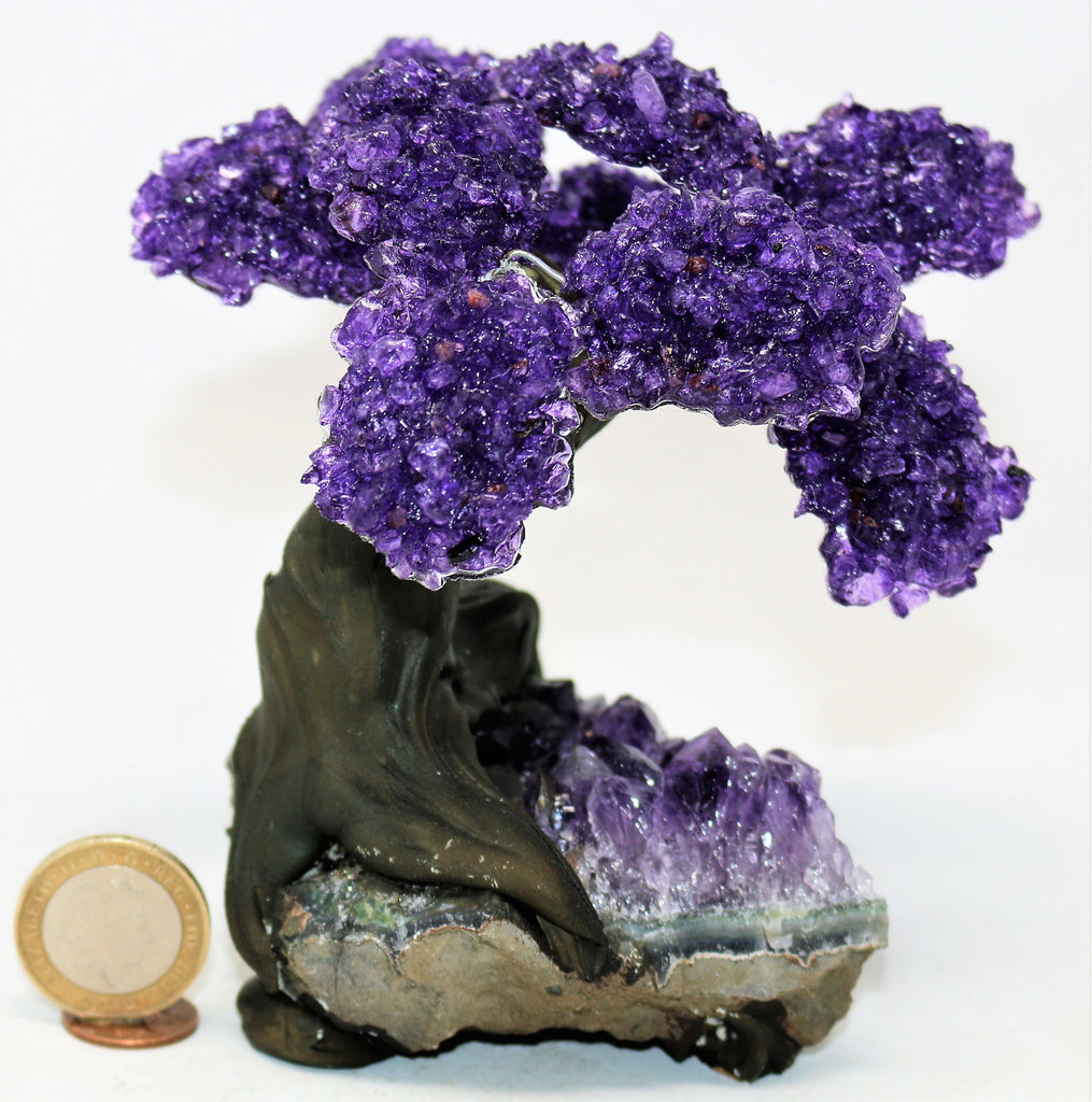 Medium Amethyst Clustered Gemstone Tree 9 Branches  (The Relaxation Tree)