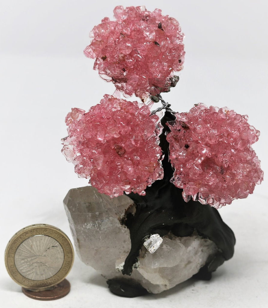 Rose Quartz Clustered Gemstone Tree on Amethyst Matrix (The Relaxation Tree)