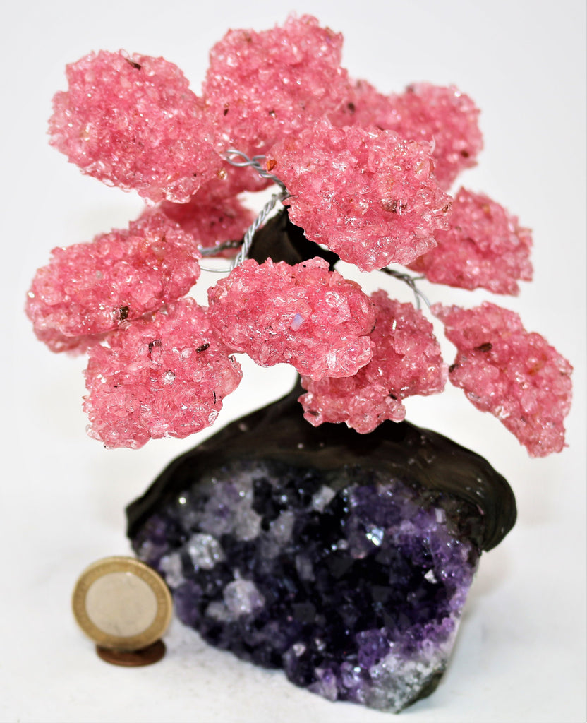 Rose Quartz on Amethyst Geode Tree - Rose Quartz Geode Tree On Amethyst Geode (Free 48 Hours Tracked Delivery to UK)