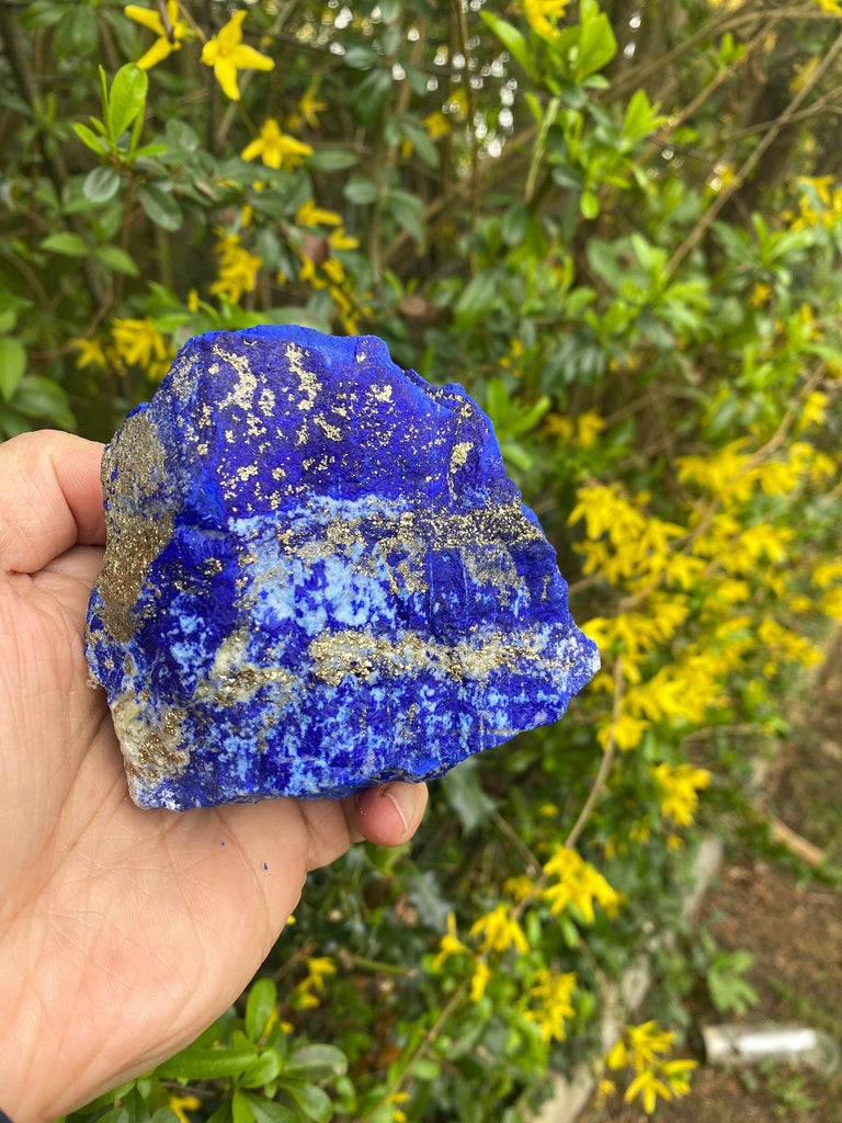 Lapis Lazuli rough Electric Royal Blue Madani- 505g