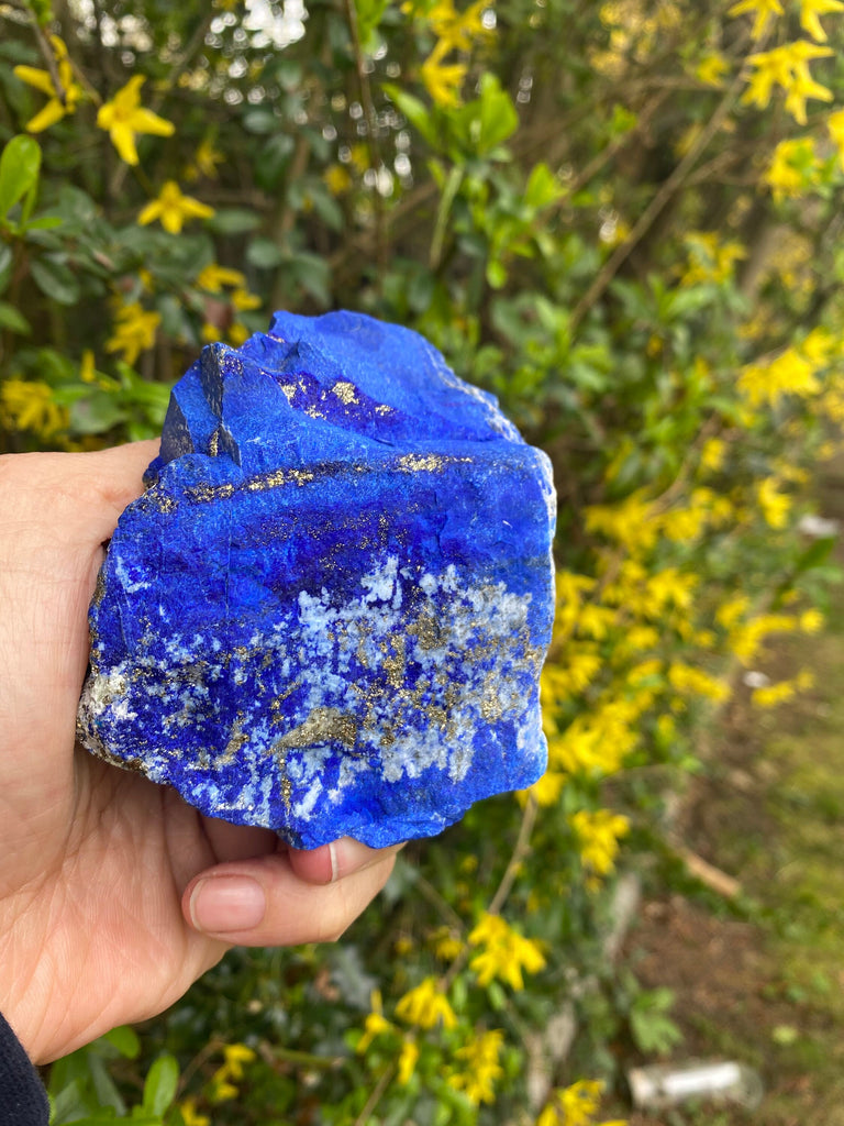 Lapis Lazuli rough Electric Royal Blue Madani- 505g