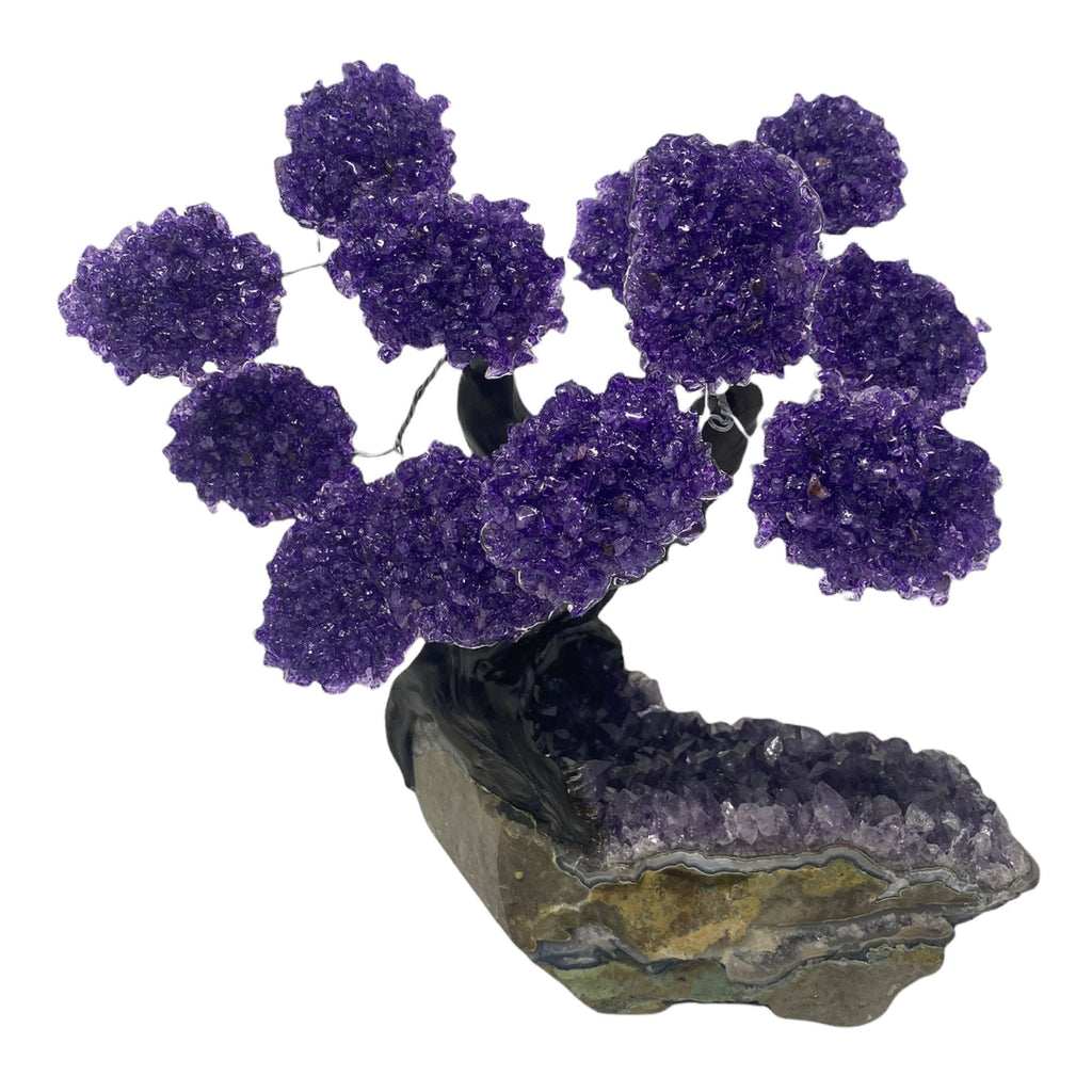 XLarge 12 Branch  Amethyst Gemstone Tree on Amethyst Matrix  (The Relaxation Tree)