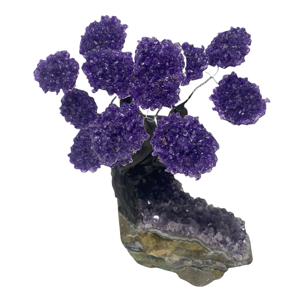 XLarge 12 Branch  Amethyst Gemstone Tree on Amethyst Matrix  (The Relaxation Tree)