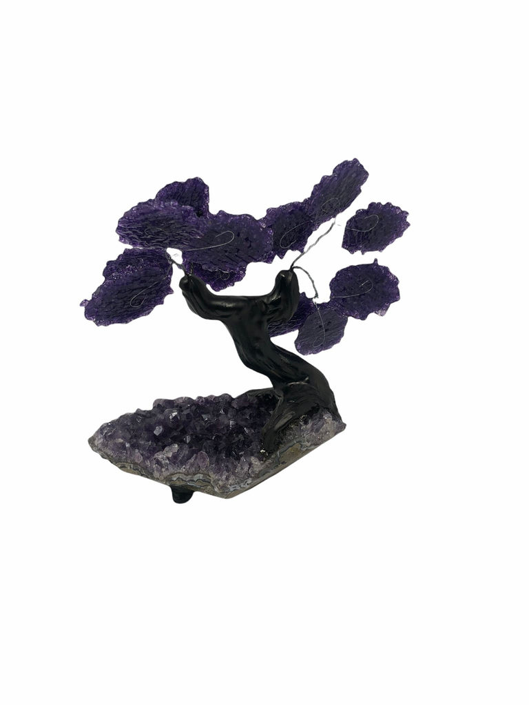 XLarge 12 Branch  Amethyst Gemstone Tree on Amethyst Matrix  (The Relaxation Tree)