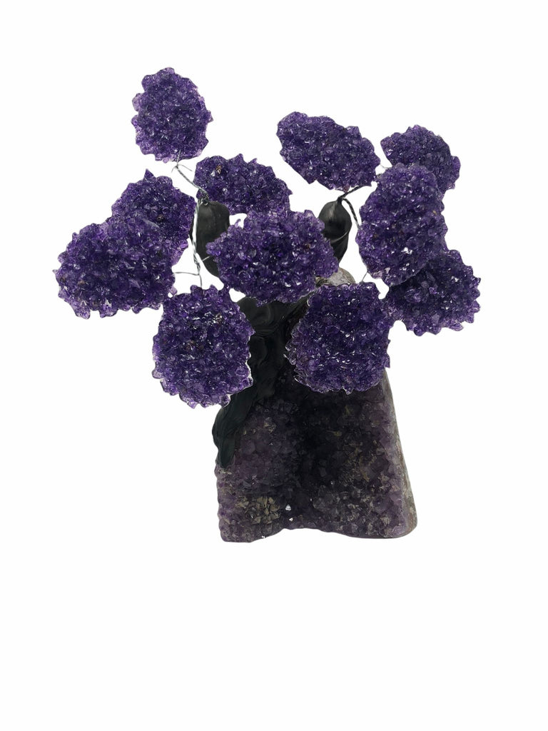 XLarge 12 Branch  Amethyst Gemstone Tree on Amethyst Matrix  (The Relaxation Tree)