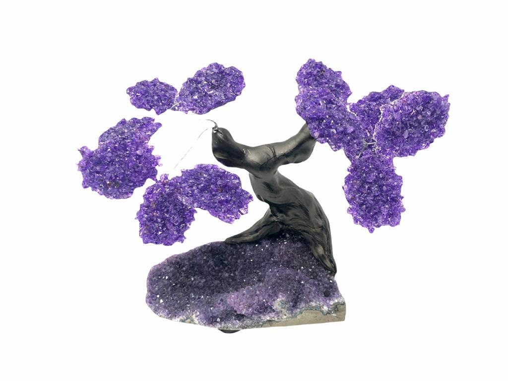 XLarge 12 Branch  Amethyst Gemstone Tree on Amethyst Matrix  (The Relaxation Tree)