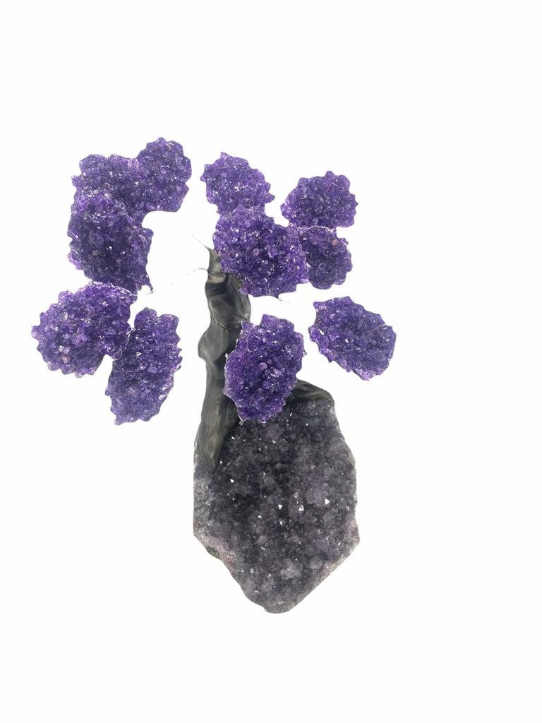 XLarge 12 Branch  Amethyst Gemstone Tree on Amethyst Matrix  (The Relaxation Tree)