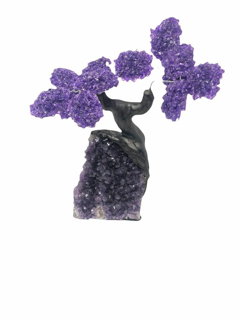 XLarge 12 Branch  Amethyst Gemstone Tree on Amethyst Matrix  (The Relaxation Tree)